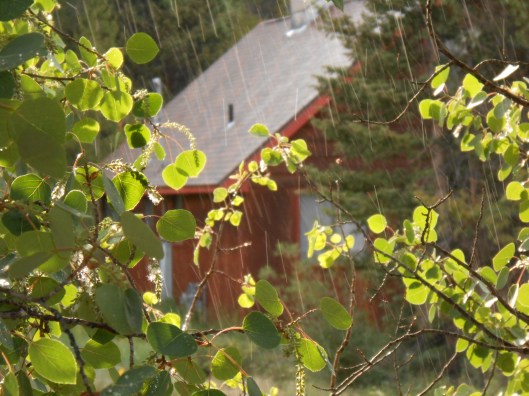 What's more refreshing than a little summer rain on a hot afternoon?
