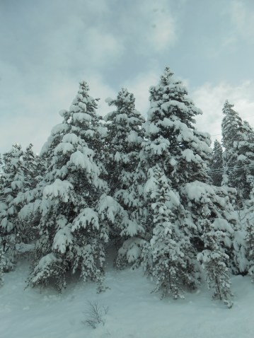 Winter 2014--I actually took this picture from a moving car!