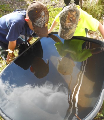 school daze 2014 084